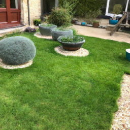 Techniques de taille pour maintenir un jardin esthétique et en bonne santé Cachan